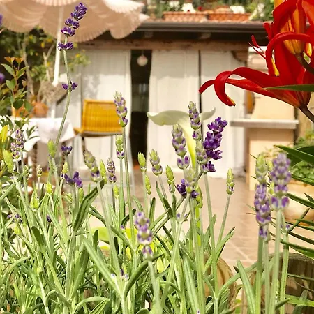 La E Bella Bed and breakfast *